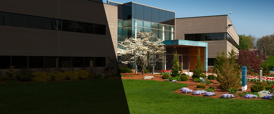 Joshua Tree Landscapers