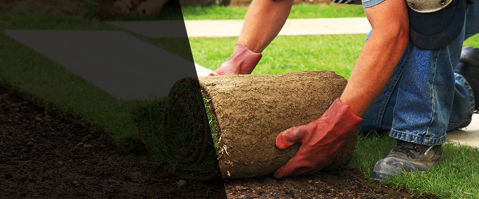 Joshua Tree Landscapers